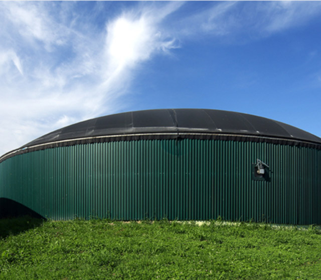 Biogas And Biomass Power Plant Projects
